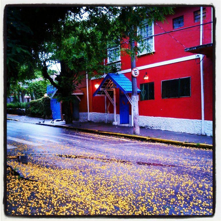 Campos do Jordão Hostel